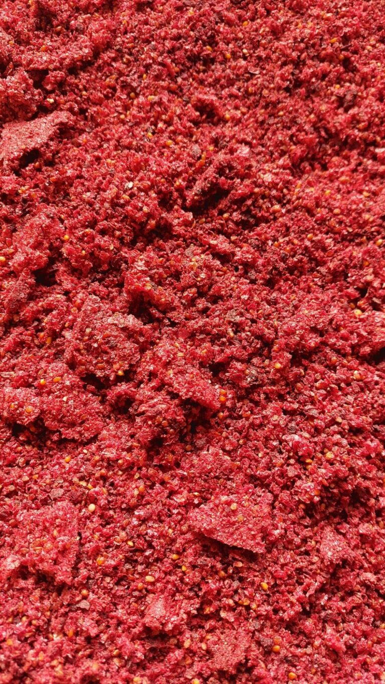 Gemüsechips, Würzpulver & Garnituren herstellen | Herb.ERT